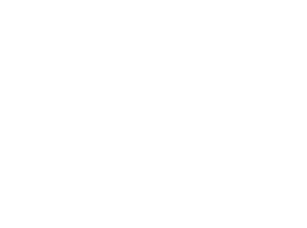 Matt Portela Customs